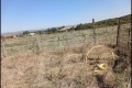 Продава ПАРЦЕЛ, област Хасково, с. Бисер • 12900 € • 54608358 4 — Holmes.bg Продава ПАРЦЕЛ, област Хасково, с. Бисер • 12900 € • 54608358 4