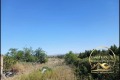 Продава ПАРЦЕЛ, област Хасково, с. Бисер • 12900 € • 54608358 6 — Holmes.bg Продава ПАРЦЕЛ, област Хасково, с. Бисер • 12900 € • 54608358 6