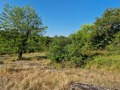Продава ПАРЦЕЛ, област Велико Търново, с. Вълчовци • 31000 € • 95059817 4 — Holmes.bg Продава ПАРЦЕЛ, област Велико Търново, с. Вълчовци • 31000 € • 95059817 4