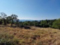 Продава ПАРЦЕЛ, област Велико Търново, с. Вълчовци • 31000 € • 95059817 3 — Holmes.bg Продава ПАРЦЕЛ, област Велико Търново, с. Вълчовци • 31000 € • 95059817 3