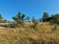 Продава ПАРЦЕЛ, област Велико Търново, с. Вълчовци • 31000 € • 95059817 5 — Holmes.bg Продава ПАРЦЕЛ, област Велико Търново, с. Вълчовци • 31000 € • 95059817 5