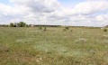 Продава ПАРЦЕЛ, област Добрич, с. Топола • 7300 € • 47930895 4 — Holmes.bg Продава ПАРЦЕЛ, област Добрич, с. Топола • 7300 € • 47930895 4