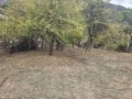 Продава ПАРЦЕЛ, област София, гр. Своге • 33000 € • 85618267 3 — Holmes.bg Продава ПАРЦЕЛ, област София, гр. Своге • 33000 € • 85618267 3
