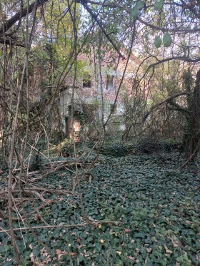 Обява Продава САМОСТОЯТЕЛНА СГРАДА,град Плевен, Кайлъка