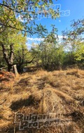 Продава КЪЩА, област Кюстендил, с. Еремия • 11000 € • 61849845 4 — Holmes.bg Продава КЪЩА, област Кюстендил, с. Еремия • 11000 € • 61849845 4