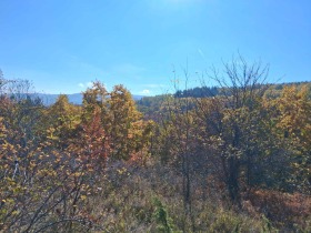 Обява Продава ПАРЦЕЛ,град София, с. Кокаляне