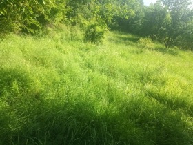 Продава ПАРЦЕЛ | Imot.bg — малка снимка 6