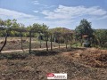Продава КЪЩА, област Велико Търново, с. Стрелец • 25000 € • 72161829 3 — Holmes.bg Продава КЪЩА, област Велико Търново, с. Стрелец • 25000 € • 72161829 3