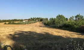ПАРЦЕЛ, 8 700 m2 - Holmes.bg ПАРЦЕЛ, 8 700 m2