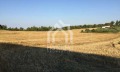 Продава ПАРЦЕЛ, Гърция, Халкидики • 185000 € / 361828.55 лв. • 48686571 10 — Holmes.bg Продава ПАРЦЕЛ, Гърция, Халкидики • 185000 € / 361828.55 лв. • 48686571 10