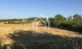 Продава ПАРЦЕЛ, Гърция, Халкидики • 185000 € / 361828.55 лв. • 48686571 6 — Holmes.bg Продава ПАРЦЕЛ, Гърция, Халкидики • 185000 € / 361828.55 лв. • 48686571 6