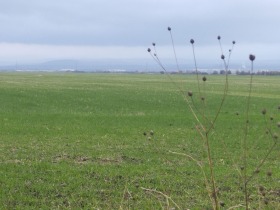 Обява Продава ПАРЦЕЛ,с. Равно поле, област София