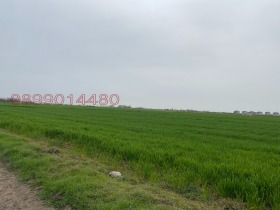 Снимка Продава ЗЕМЕДЕЛСКА ЗЕМЯ