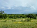 Продава ПАРЦЕЛ, област София, с. Пауново • 207000 € • 16145509 2 — Holmes.bg Продава ПАРЦЕЛ, област София, с. Пауново • 207000 € • 16145509 2