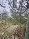 Продава КЪЩА, област Стара Загора, с. Загоре • 115000 € • 60715340 1 — Holmes.bg Продава КЪЩА, област Стара Загора, с. Загоре • 115000 € • 60715340 1