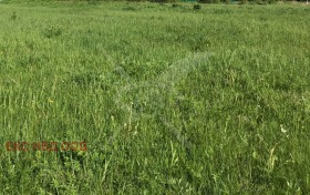 ПРОМ. ПОМЕЩЕНИЕ, 216 m2 - Holmes.bg ПРОМ. ПОМЕЩЕНИЕ, 216 m2