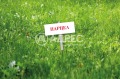 Продава Парцел град София , гр. Банкя , 3347 кв.м | 24935676 — Imoti.com Продава Парцел град София , гр. Банкя , 3347 кв.м | 24935676