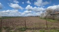 Продава Парцел област Добрич , с. Царевец , 2000 кв.м | 31532005 — Imoti.com Продава Парцел област Добрич , с. Царевец , 2000 кв.м | 31532005