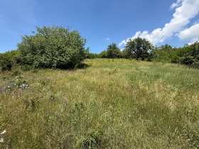 Обява Продава ПАРЦЕЛ,с. Дивотино, област Перник