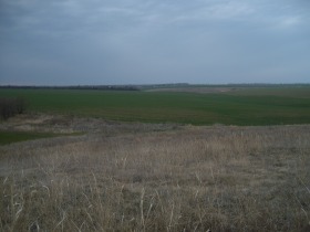 Продава Земеделска земя, гр. Шабла