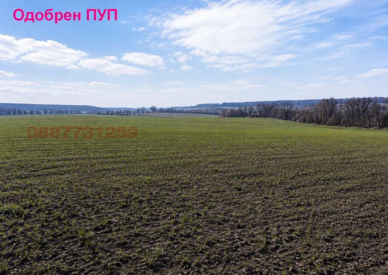 Продава ПАРЦЕЛ, област София, гр. Елин Пелин • 1974000 € • 65476651 1 — Holmes.bg Продава ПАРЦЕЛ, област София, гр. Елин Пелин • 1974000 € • 65476651 1