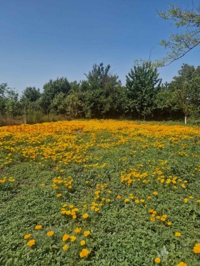 Обява Продава ПАРЦЕЛ,гр. Балчик, област Добрич