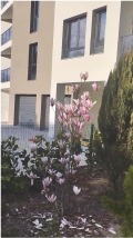 Продава 2-СТАЕН, град София, Студентски град • 191250 € / 374052.49 лв. • 65016663 1 — Holmes.bg Продава 2-СТАЕН, град София, Студентски град • 191250 € / 374052.49 лв. • 65016663 1