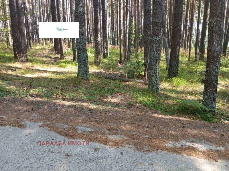 Продава ПАРЦЕЛ, област Пловдив, хижа Здравец • 35000 € • 87146271 1 — Holmes.bg Продава ПАРЦЕЛ, област Пловдив, хижа Здравец • 35000 € • 87146271 1