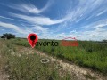 Продава ПАРЦЕЛ, град Шумен, м-т Сакарка • 125000 € / 244478.75 лв. • 81170569 1 — Holmes.bg Продава ПАРЦЕЛ, град Шумен, м-т Сакарка • 125000 € / 244478.75 лв. • 81170569 1