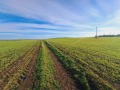 Продава ПАРЦЕЛ, област Бургас, с. Александрово • 200642 € • 59124049 5 — Holmes.bg Продава ПАРЦЕЛ, област Бургас, с. Александрово • 200642 € • 59124049 5