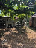 Продава ПАРЦЕЛ, област Пазарджик, с. Пищигово • 65000 € / 127128.95 лв. • 26209407 12 — Holmes.bg Продава ПАРЦЕЛ, област Пазарджик, с. Пищигово • 65000 € / 127128.95 лв. • 26209407 12