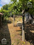 Продава ПАРЦЕЛ, област Пазарджик, с. Пищигово • 65000 € / 127128.95 лв. • 26209407 11 — Holmes.bg Продава ПАРЦЕЛ, област Пазарджик, с. Пищигово • 65000 € / 127128.95 лв. • 26209407 11