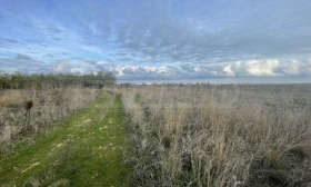 Обява Продава ПАРЦЕЛ,с. Божурец, област Добрич