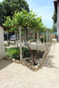 Продава КЪЩА, област Варна, с. Момчилово • 209990 € • 91424273 9 — Holmes.bg Продава КЪЩА, област Варна, с. Момчилово • 209990 € • 91424273 9