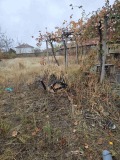 Продава КЪЩА, област Пловдив, с. Ръжево Конаре • 29000 € / 56719.07 лв. • 85963515 4 — Holmes.bg Продава КЪЩА, област Пловдив, с. Ръжево Конаре • 29000 € / 56719.07 лв. • 85963515 4