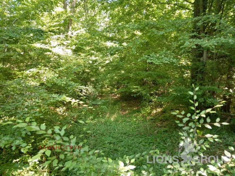 Продава ПАРЦЕЛ, област Варна, с. Близнаци • 18900 € • 94745978 1 — Holmes.bg Продава ПАРЦЕЛ, област Варна, с. Близнаци • 18900 € • 94745978 1