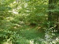 Продава Парцел област Варна , с. Близнаци , 35000 кв.м | 51714112 — Imoti.com Продава Парцел област Варна , с. Близнаци , 35000 кв.м | 51714112