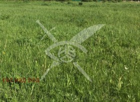 Снимка Продава ПАРЦЕЛ