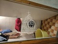 Продава 3-СТАЕН, област Варна, гр. Провадия • 68380 € / 133739.66 лв. • 25152101 8 — Holmes.bg Продава 3-СТАЕН, област Варна, гр. Провадия • 68380 € / 133739.66 лв. • 25152101 8