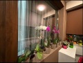 Продава 3-СТАЕН, град Стара Загора, Самара 1 • 205000 € • 77468964 7 — Holmes.bg Продава 3-СТАЕН, град Стара Загора, Самара 1 • 205000 € • 77468964 7