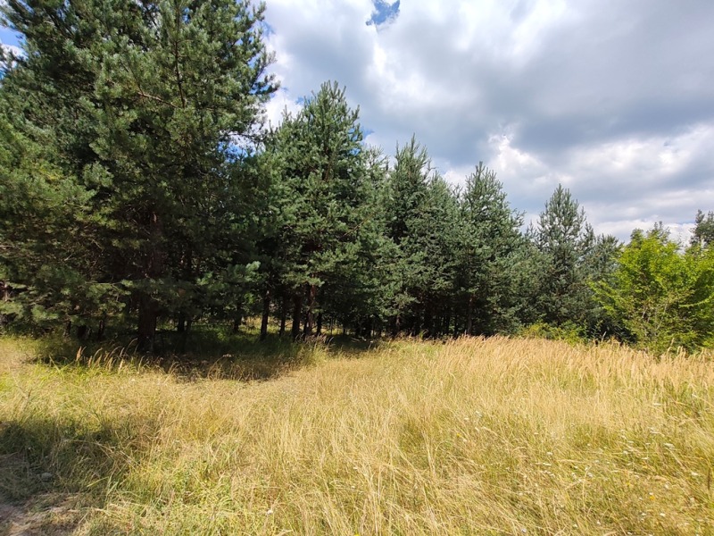 Продава ПАРЦЕЛ, област Благоевград, гр. Разлог • 15520 € • 22745897 1 — Holmes.bg Продава ПАРЦЕЛ, област Благоевград, гр. Разлог • 15520 € • 22745897 1