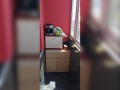 Продава 2-СТАЕН, град Ямбол, Златен рог • 62000 € • 14317581 7 — Holmes.bg Продава 2-СТАЕН, град Ямбол, Златен рог • 62000 € • 14317581 7