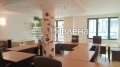 Под наем ОФИС, град София, Лозенец • 1600 € • 20202653 1 — Holmes.bg Под наем ОФИС, град София, Лозенец • 1600 € • 20202653 1
