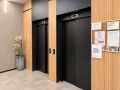 Под наем 2-СТАЕН, град София, Център • 700 € • 81431599 13 — Holmes.bg Под наем 2-СТАЕН, град София, Център • 700 € • 81431599 13
