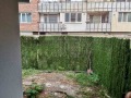 Под наем 2-СТАЕН, град Перник, Твърди ливади • 470 € • 88551269 1 — Holmes.bg Под наем 2-СТАЕН, град Перник, Твърди ливади • 470 € • 88551269 1