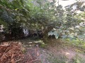 Под наем 3-СТАЕН, град Варна, Център • 750 € • 26499106 14 — Holmes.bg Под наем 3-СТАЕН, град Варна, Център • 750 € • 26499106 14