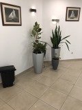Под наем ОФИС, град София, Полигона • 1300 € / 2542.58 лв. • 10103562 9 — Holmes.bg Под наем ОФИС, град София, Полигона • 1300 € / 2542.58 лв. • 10103562 9