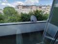 Дава под наем 2-СТАЕН, гр. София, Иван Вазов, снимка 4 — Bazar.bg Дава под наем 2-СТАЕН, гр. София, Иван Вазов, снимка 4
