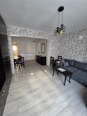 Обява Дава под наем 2-СТАЕН,град София, Гео Милев>