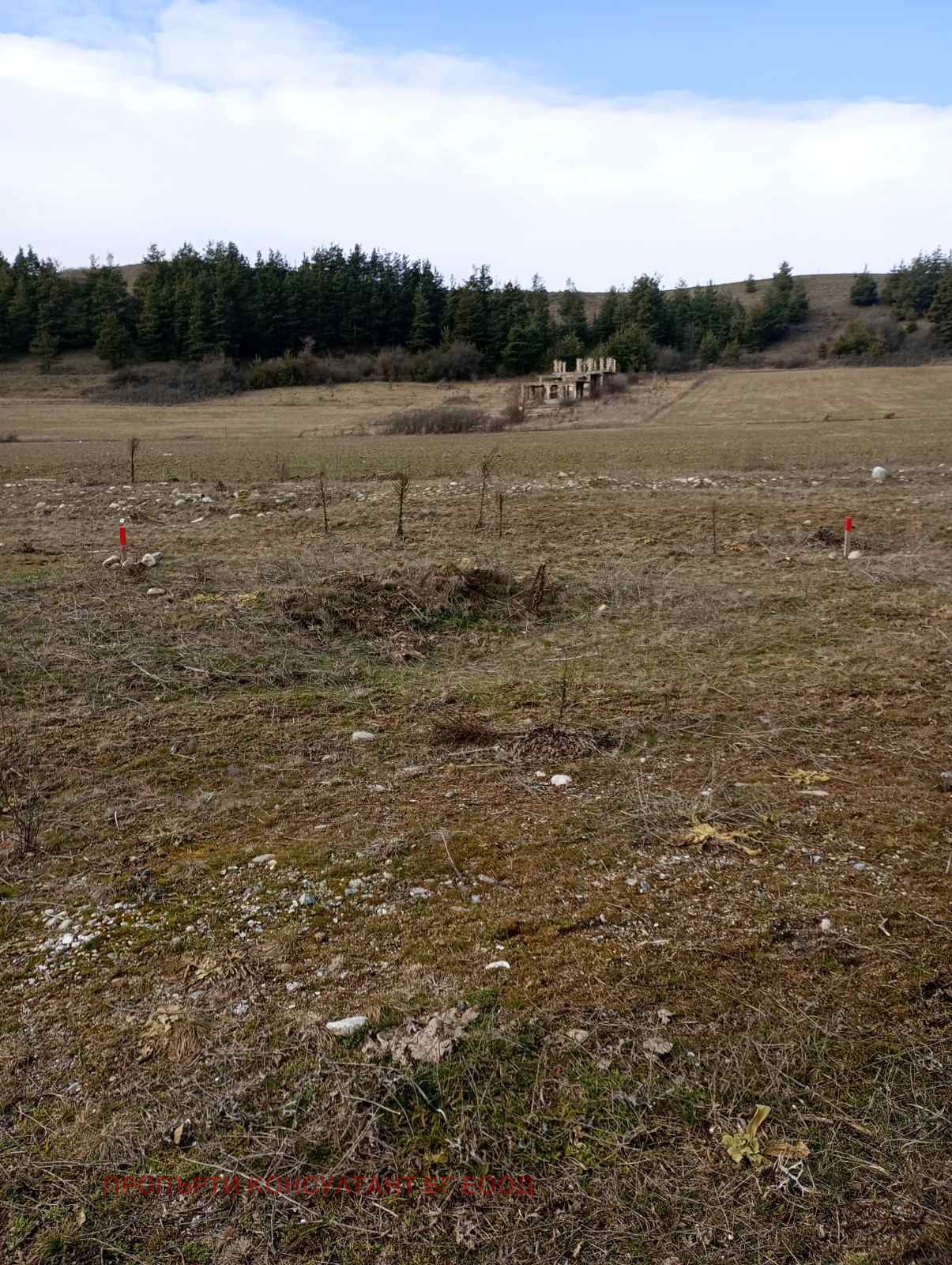 ������� ���������� ���� | Imot.bg � ����������� 1